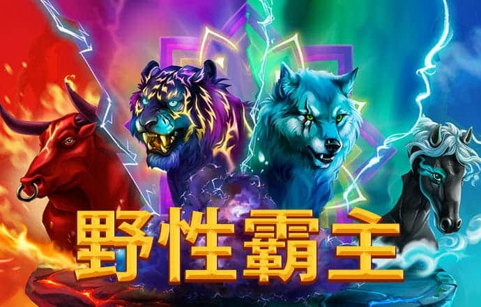 567800金沙